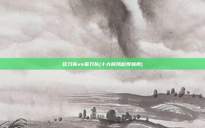 砍刀队vs菜刀队(十大民风彪悍城市)
