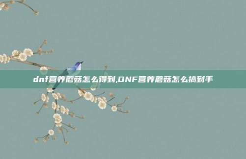 dnf营养蘑菇怎么得到,DNF营养蘑菇怎么搞到手