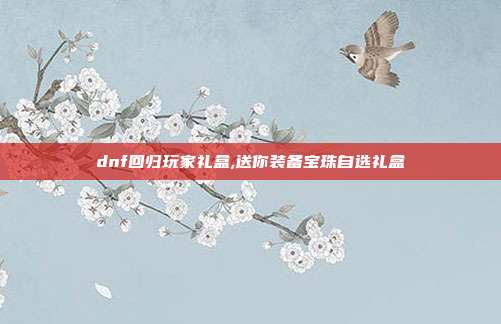 dnf回归玩家礼盒,送你装备宝珠自选礼盒
