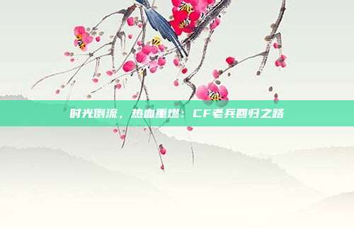 时光倒流，热血重燃：CF老兵回归之路