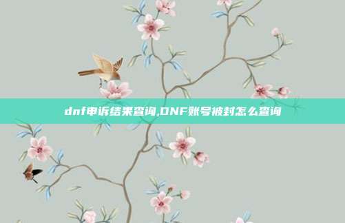 dnf申诉结果查询,DNF账号被封怎么查询