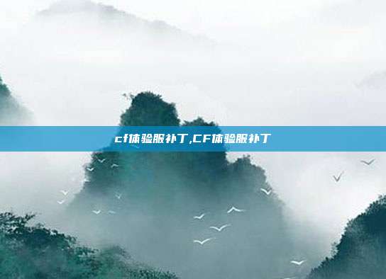 cf体验服补丁,CF体验服补丁