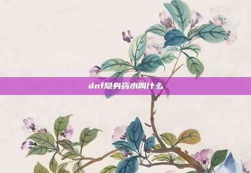 dnf隐身药水叫什么