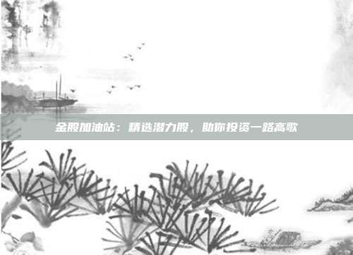 金股加油站:精选潜力股,助你投资一路高歌