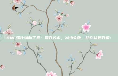 DNF强化辅助工具：提升效率，减少失败，助你快速升级！