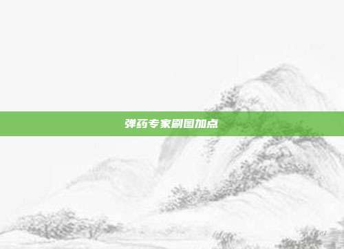弹药专家刷图加点