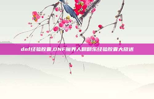 dnf经验胶囊,DNF魔界人翻翻乐经验胶囊大放送