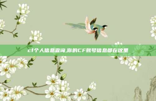 cf个人信息查询,你的CF账号信息都在这里