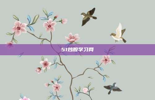 51炒股学习网