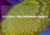 战斗之夜2020，电竞江湖的巅峰对决与破圈启示