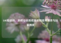 LOL验证码，游戏安全防线背后的技术博弈与玩家困扰