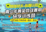 虚拟网球4全攻略：如何利用新系统提升选手能力