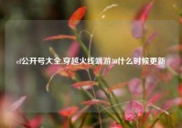 cf公开号大全,穿越火线端游30什么时候更新
