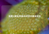 易基50基金净值,如何进行基金投资