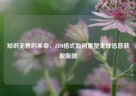 知识无界的革命，ZIM格式如何重塑全球信息获取版图