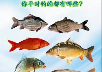 鲤鱼乡是啥？为啥都合不上了？看完流出来了！