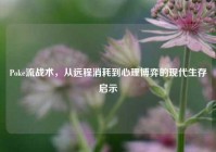 Poke流战术，从远程消耗到心理博弈的现代生存启示