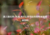 真三国无双ol私服,有什么有可玩性的电脑游戏推荐吗
