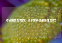 揭秘刷雷者官网，技术狂欢还是法律雷区？