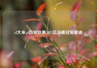cf大米,cf百城联赛2022总决赛冠军是谁