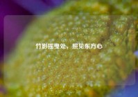 竹影摇曳处，照见东方心