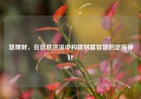 慧理财，在信息洪流中构建财富智慧的定海神针