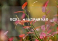 黑暗武士，光与影交织的宿命之路