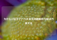 为什么CF玩不了？六大常见问题解析与解决方案大全