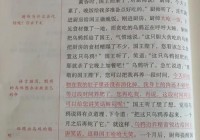 黑珍珠和艾尔文是谁？他们有什么样的故事？