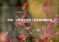 纤维，从微观世界到人类文明的编织者
