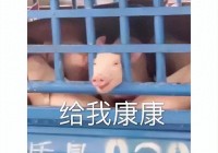 缝合7款游戏的神作，《鬼谷八荒》手游版上线，网友推荐可后宫