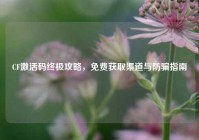 CF激活码终极攻略，免费获取渠道与防骗指南