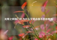 光辉之阿伽门农,为什么文明古国不包括希腊
