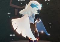 雨伞先祖位置