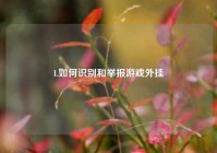 1.如何识别和举报游戏外挂