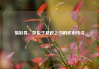 暗影易，穿梭于昼夜之间的都市传说