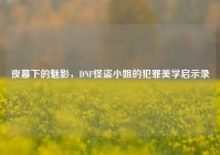 夜幕下的魅影，DNF怪盗小姐的犯罪美学启示录