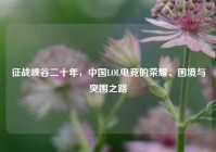 征战峡谷二十年，中国LOL电竞的荣耀、困境与突围之路