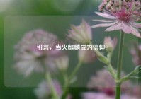 引言，当火麒麟成为信仰