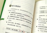 光明之风攻略全攻略：从新手到高手的必备技巧