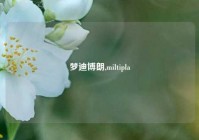 梦迪博朗,miltipla