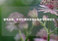 雷龙出海，东方巨兽的全球化征途与文明启示