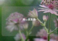 阿sue找东西