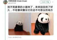 还在手搓？增强萨满一键宏解放你的双手！