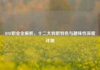 DNF职业全解析，十二大转职特色与趣味性深度评测