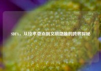 SDFA，从技术奇点到文明隐喻的跨界探秘
