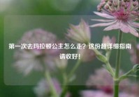 第一次去玛拉顿公主怎么走？这份超详细指南请收好！