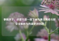 拳倾天下，战意不息—地下城与勇士男格斗职业全解析与热血史诗回顾