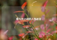 罪与罚之间的人性迷宫