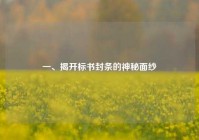 一、揭开标书封条的神秘面纱